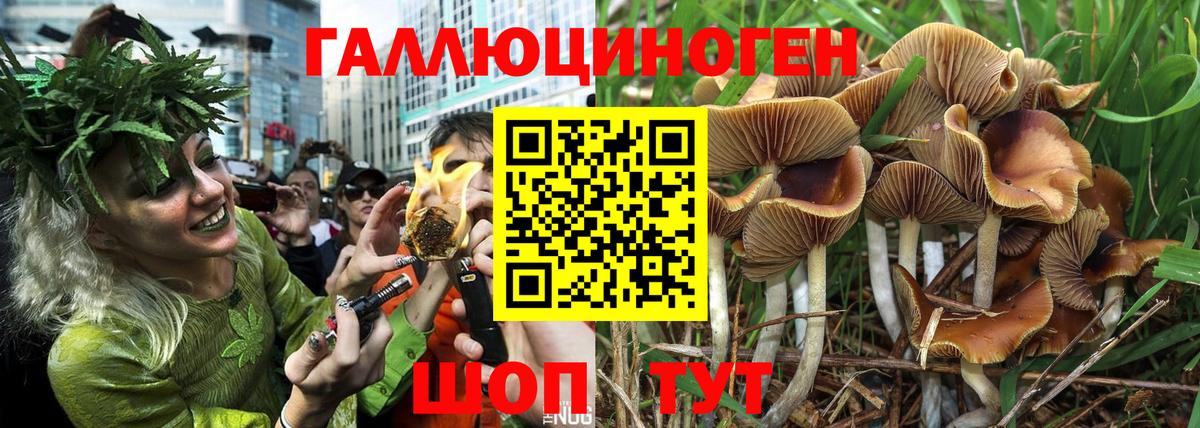 Псилоцибиновые грибы Cubensis Учалы