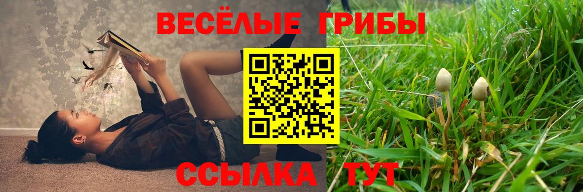 закладка  Вход с VPN  Учалы  Галлюциногенные грибы MAGIC MUSHROOMS 
